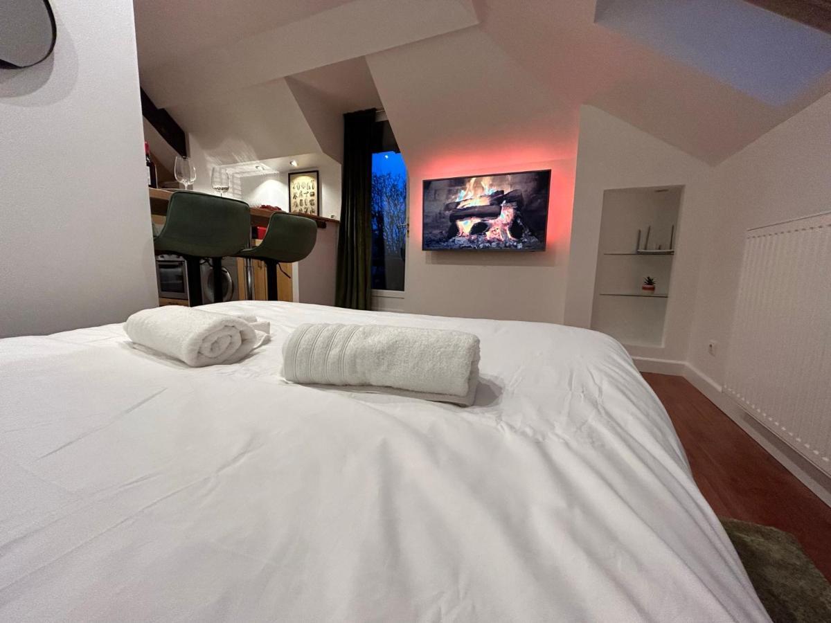 Rooftop - Cosy Flat Centre Senlis Apartment ซ็องลิส ภายนอก รูปภาพ